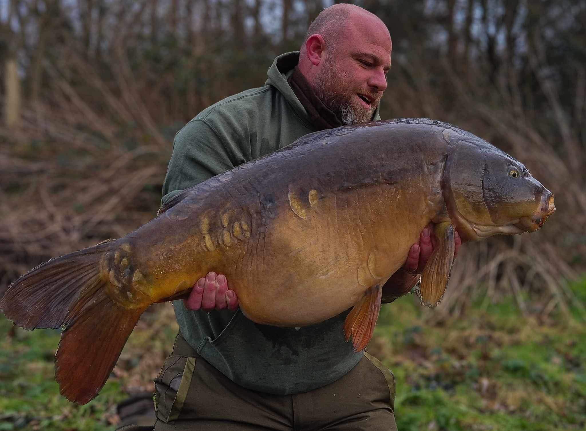 LEE WILKINSON - AMBASSADOR